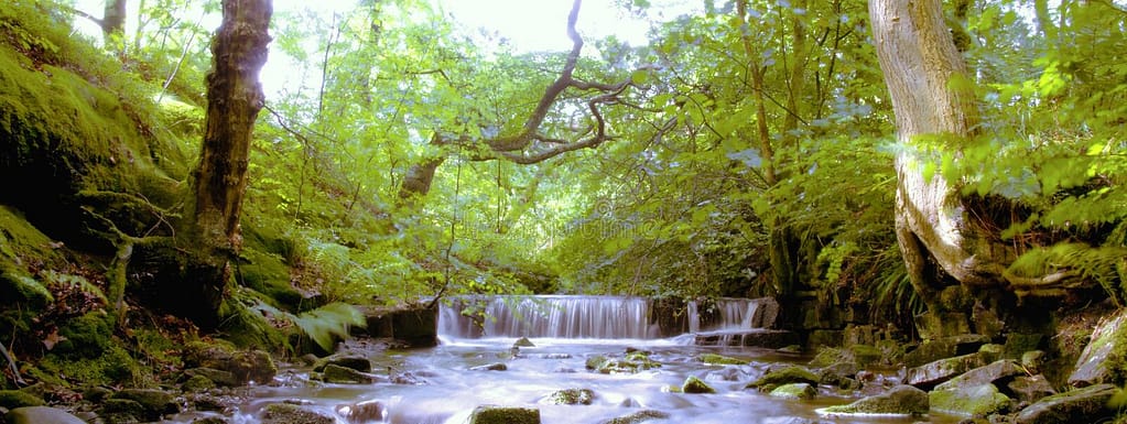 river-weir-background image